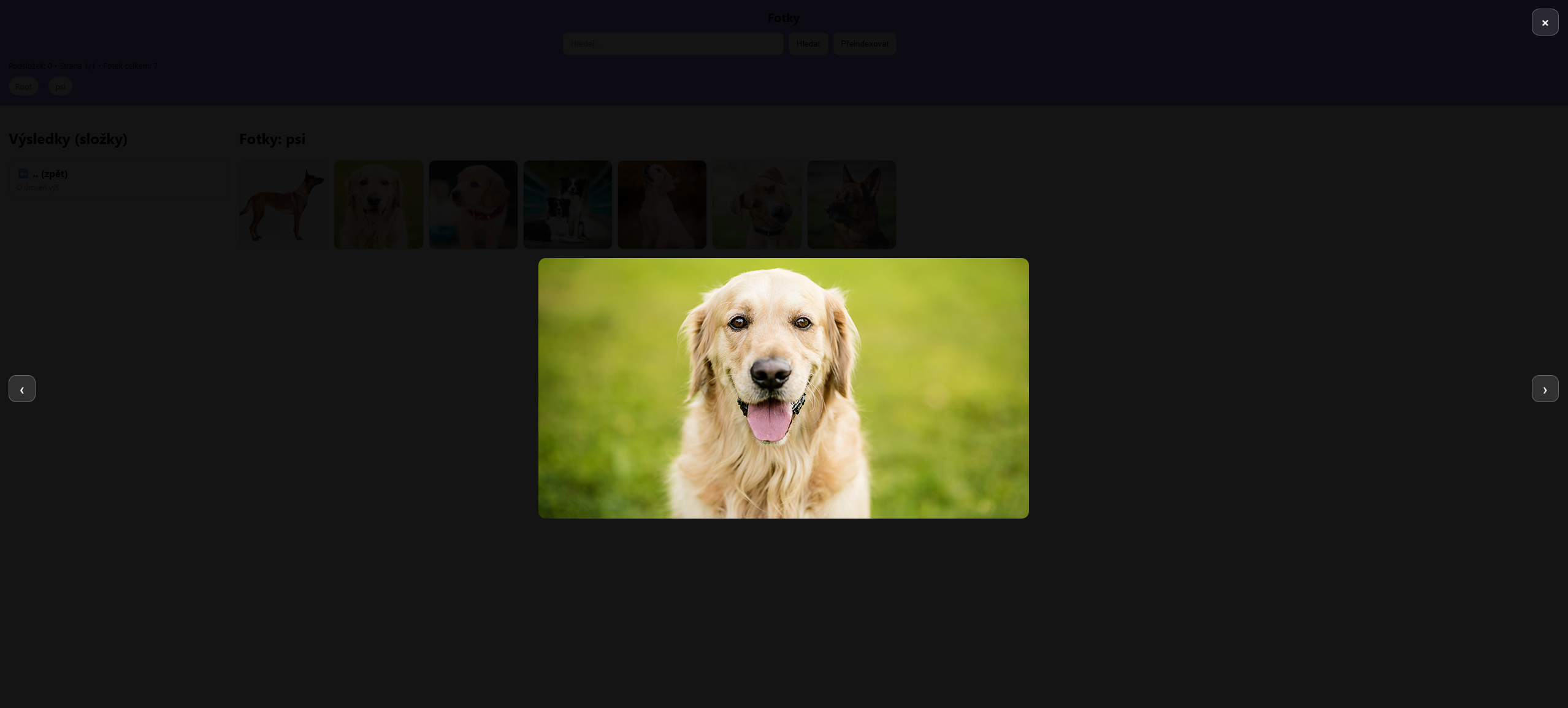 Foto Indexer screenshot 4